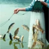cn-11134207-7ras8-mas2zbarzf09c0.webp 3-Layer Nylon Fishing Net