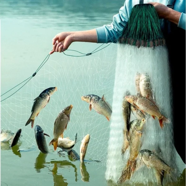 cn-11134207-7ras8-mas2zbarzf09c0.webp 3-Layer Nylon Fishing Net