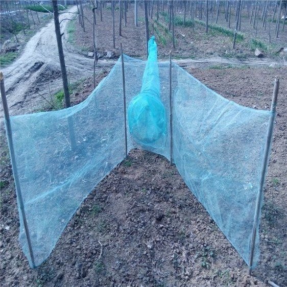 cn-11134207-7ras8-mbdpcp0zlq9xc3.jpg Oversized Folding Fishing Net