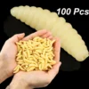 sg-11134201-7qvcz-lk3ajqgjpweuf2.webp Maggot Grub Soft Worm Lure 2cm 100Pcs