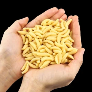 sg-11134201-7qvfs-lk3ajpa3g0c4d8.webp Maggot Grub Soft Worm Lure 2cm 100Pcs