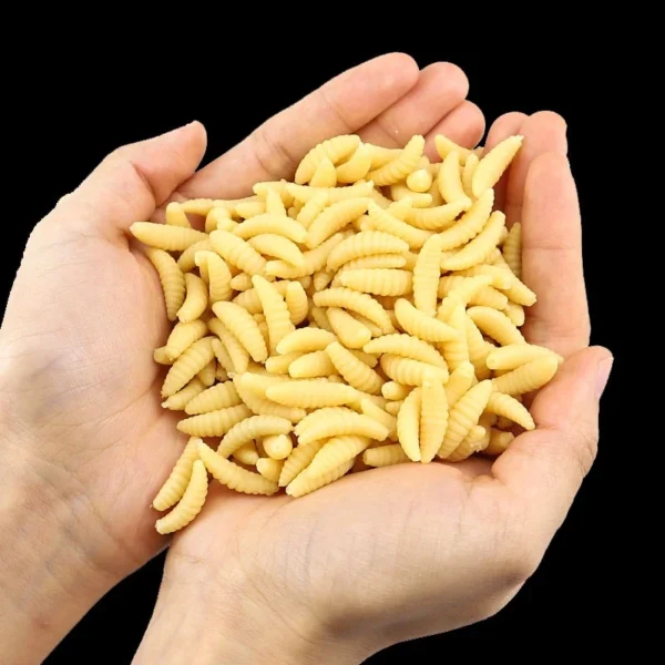 sg-11134201-7qvfs-lk3ajpa3g0c4d8.webp Maggot Grub Soft Worm Lure 2cm 100Pcs